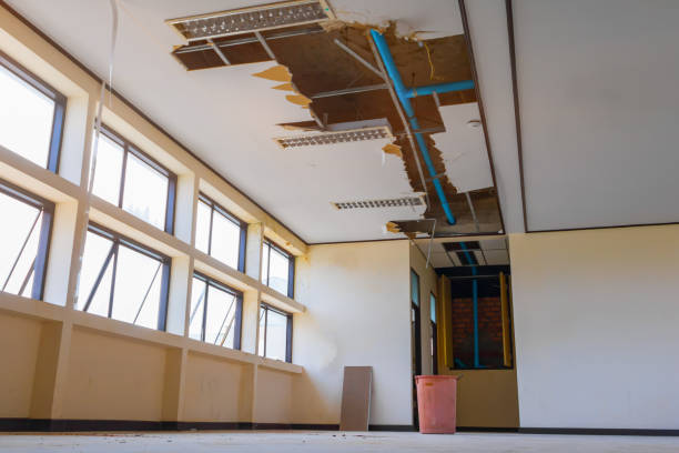 Best Carpet water damage restoration  in Newfoundland, NJ
