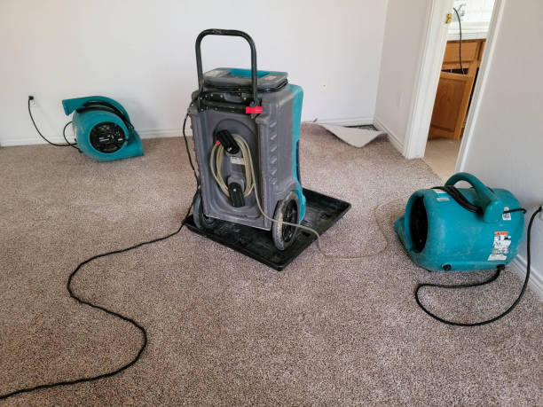 Best 24-hour water damage restoration  in Newfoundland, NJ