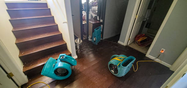 Water damage restoration mold remediation in NJ