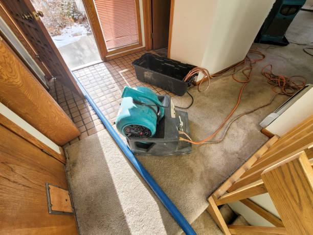 Best Water damage contractors near me  in Newfoundland, NJ