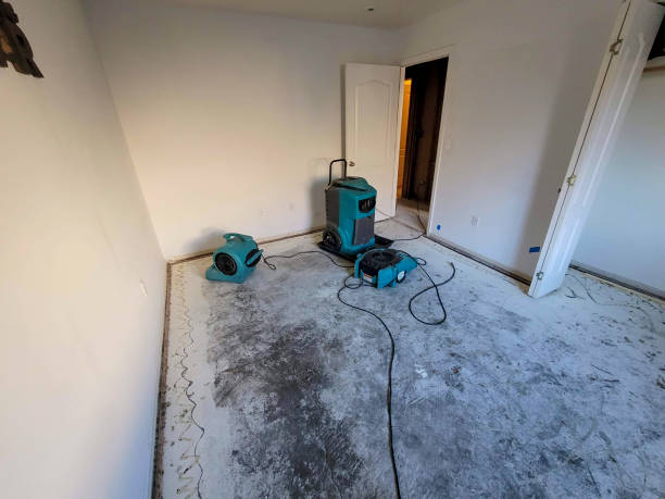 Best Carpet water damage restoration  in Newfoundland, NJ