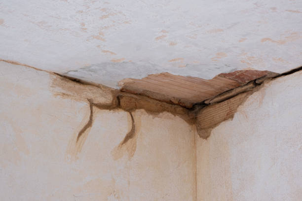 Best Basement water damage restoration  in Newfoundland, NJ