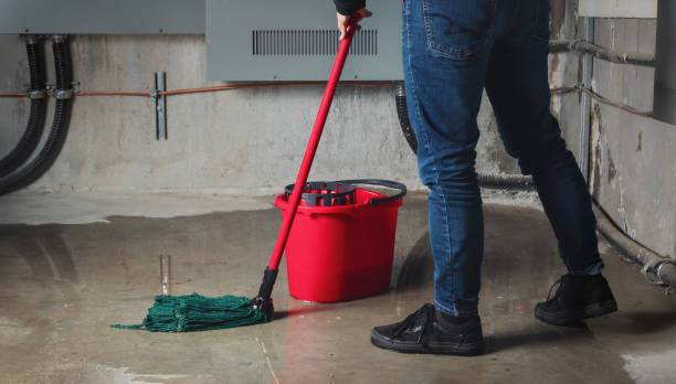 Best Water damage restoration near me  in Newfoundland, NJ