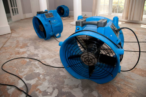 Best Carpet water damage restoration  in Newfoundland, NJ