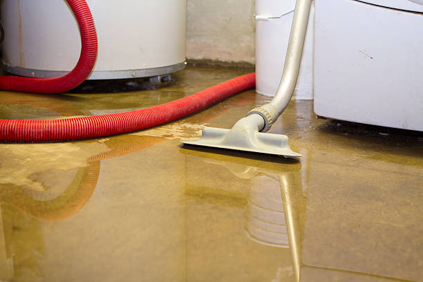Best Water damage restoration insurance claims  in Newfoundland, NJ