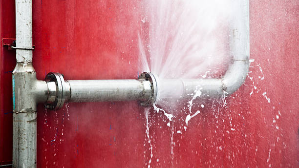 Best Fire Damage Restoration  in Newfoundland, NJ